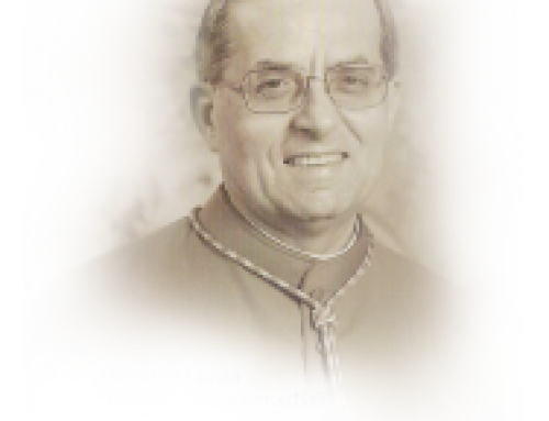Nomina Nuovo Vescovo